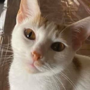 Meet your Posher, Victoria